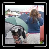 CRW_6375 * 377 x 600 * (67KB)